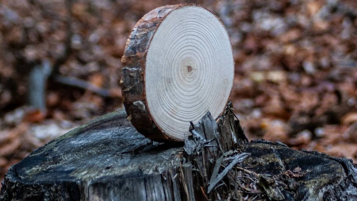 Dřevěné kolečka